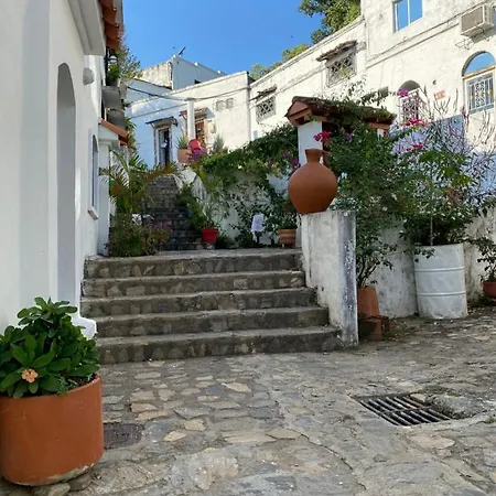Cabana La Aldea - Santorini Colombiano Doradal Exterior photo